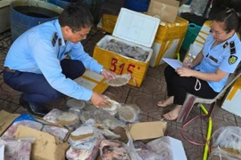 Quảng Bình phát hiện gần 270 kg thực phẩm không rõ nguồn gốc