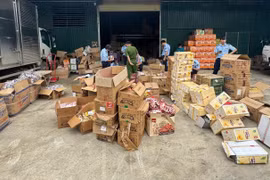 Hơn 3.100 vụ vi phạm trong tháng cao điểm kiểm tra hàng giả