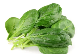 Cải bó xôi chứa nhiều vitamin, giúp kéo dài tuổi thọ