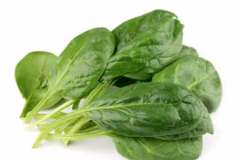 Cải bó xôi chứa nhiều vitamin, giúp kéo dài tuổi thọ