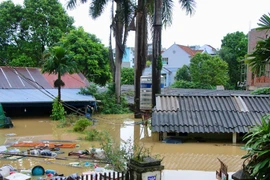 Chuyên gia lý giải nguyên nhân khiến nhiều tỉnh miền Bắc ngập lụt diện rộng
