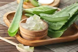 Lợi ích của nha đam