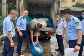 Hưng Yên phát hiện hơn 1 tấn lòng lợn mốc mùi ôi thiu vận chuyển trái phép