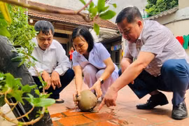 Hà Nội ghi nhận 432 ca sốt xuất huyết, giảm nhẹ so với tuần trước