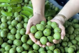 5 tác dụng của quả sấu