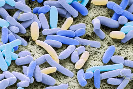 WHO cảnh báo tình trạng kháng thuốc toàn cầu gia tăng nhanh