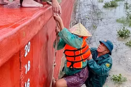 Cứu hộ kịp thời 5 ngư dân mắc kẹt giữa dòng lũ trên sông Lam 