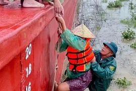 Cứu hộ kịp thời 5 ngư dân mắc kẹt giữa dòng lũ trên sông Lam 