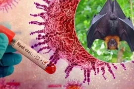 Bộ Nông nghiệp tăng cường phòng chống virus Nipah trong chăn nuôi