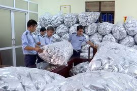 Bắc Ninh phát hiện kho chứa 40.000 gói rong biển trôi nổi