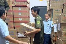 Thu giữ gần 25 tấn sữa bột nghi hàng giả ở Long An