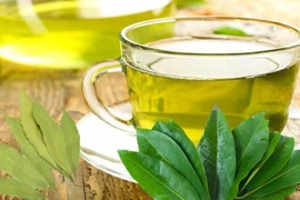 Nước vối tốt nhưng lạm dụng hại sức khỏe