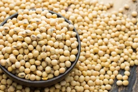 Người mắc bệnh tuyến giáp kiêng ăn gì?