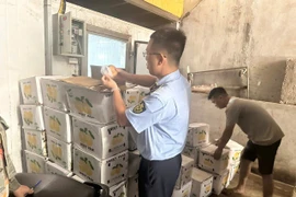 Thái Nguyên tiêu huỷ gần 1,2 tấn hoa quả không rõ nguồn gốc