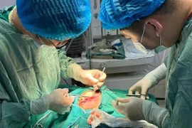 Bé 2 tuổi ở Tuyên Quang bị chó cắn nham nhở khắp vùng mặt