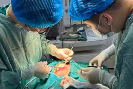 Bé 2 tuổi ở Tuyên Quang bị chó cắn nham nhở khắp vùng mặt