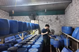 Phát hiện nhiều cơ sở sản xuất giá đỗ sử dụng chất cấm tại Quảng Ninh