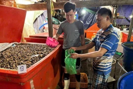 3.000 tấn thịt ốc ngâm hóa chất, hại sức khỏe thế nào?