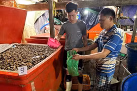 3.000 tấn thịt ốc ngâm hóa chất, hại sức khỏe thế nào?