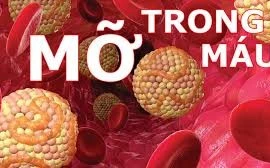 Nhận biết mỡ máu cao vào buổi sáng