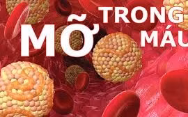 Nhận biết mỡ máu cao vào buổi sáng