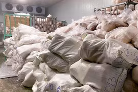 Phạt 90 triệu cơ sở kinh doanh thịt lợn không rõ nguồn gốc ở Gia Lai