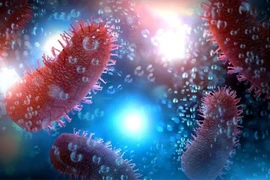 Chủ quan không tiêm phòng dại, 1 người tử vong sau khi bị chó cắn ở Lào Cai