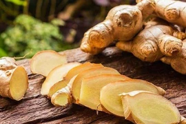 Gừng tốt cho sức khỏe nhưng cần dùng đúng cách