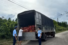 Quảng Ninh bắt giữ gần 17 tấn ngao, hàu không xuất xứ