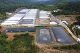 Trang trại lợn ở Thanh Hóa tiếp tục phát tán mùi hôi thối 