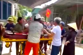 Người đàn ông tử vong do bị đàn ong tấn công khi đang cắt cỏ