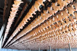 Hà Nội kiểm tra hoạt động giết mổ heo của C.P. Việt Nam