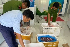 Phú Yên phát hiện, xử phạt hộ kinh doanh thực phẩm "bẩn"