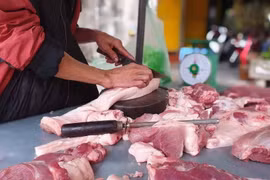  Hà Nội ghi nhận ca thứ 8 mắc liên cầu lợn trong năm 2025