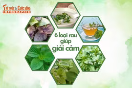 [INFOGRAPHIC] 6 loại rau giúp giải cảm