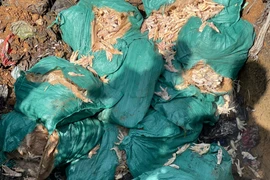 Cao Bằng tiêu huỷ gần 500 kg chân gà đông lạnh, mùi hôi thối