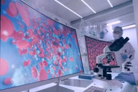 Công nghệ mới tạo máu người từ cấu trúc phôi nhân tạo hematoid