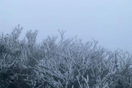 Không khí lạnh tăng cường ảnh hưởng đến Bắc Bộ từ chiều ngày 24/11