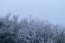 Không khí lạnh tăng cường ảnh hưởng đến Bắc Bộ từ chiều ngày 24/11