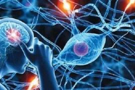 Nguy cơ gia tăng bệnh não mô cầu, cách phòng tránh hiệu quả