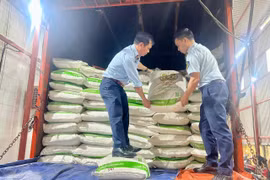 Quảng Trị tạm giữ một lô hàng đường cát trắng nhập lậu số lượng lớn