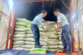 Quảng Trị tạm giữ một lô hàng đường cát trắng nhập lậu số lượng lớn