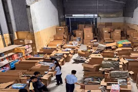 Ninh Bình tạm giữ hơn 3.000 sản phẩm đồ chơi trẻ em nhập lậu