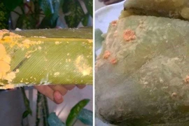Nguy hiểm từ nấm mốc bánh chưng ngày Tết
