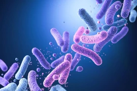 Độc tố trong sữa Aptamil First Infant Formula bị thu hồi nguy hiểm sao?