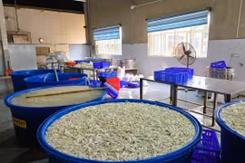 Phát hiện gần 7 tấn chân gà ngâm chất tẩy trắng 