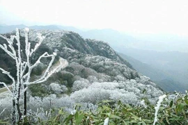 Dự báo thời tiết ngày 24/1: Vùng núi miền Bắc rét đậm, Trung Bộ có mưa