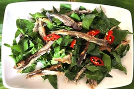 Gỏi lá sầu đâu trộn cá lóc, đặc sản ăn là mê