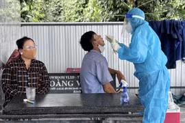 Phát hiện ổ dịch cúm gia cầm H5N1 tại tỉnh Đắk Lắk