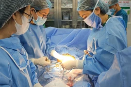 Cụ ông 71 tuổi bị ngã chấn thương khi trèo cây cắt cành tránh bão